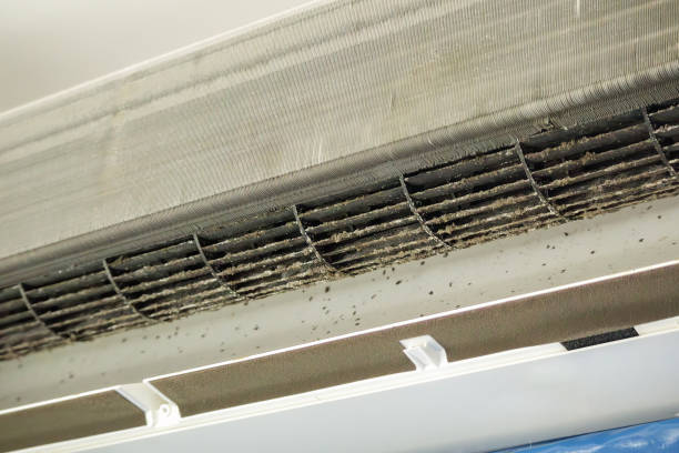 Best Commercial Air Duct Cleaning  in Polk City, IA